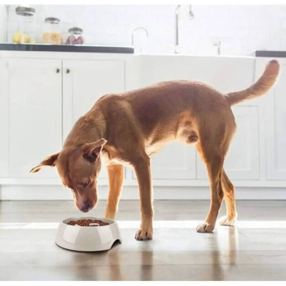 Frisco Cream Melamine Slow Feed Dog & Cat Bowl Size Large 1.5 Cups‎ 7